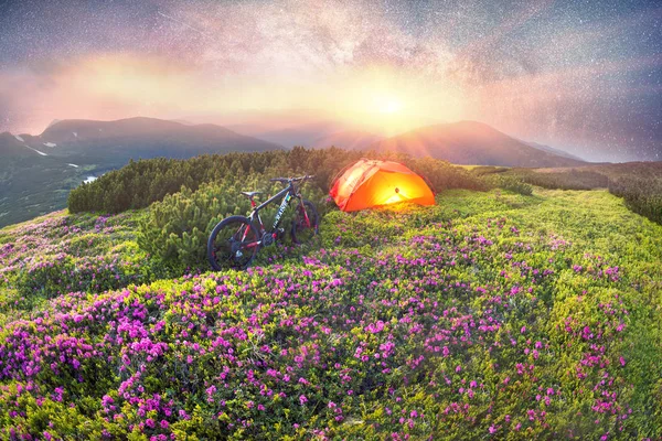 Viagem Primavera Nos Cárpatos Entre Flores Alpinas Com Uma Bicicleta — Fotografia de Stock