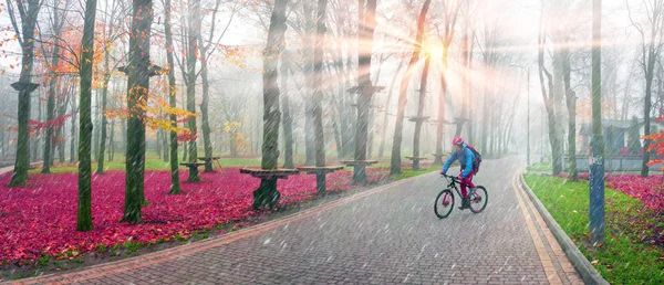 Ciclista Sano Pattina Nel Parco Della Città Dell Europa Orientale — Foto Stock