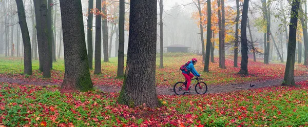 健康的なライフ スタイルのサイクリスト美しいカラフルな秋オークスを背景の森リスの横にある霧の深い早朝にウクライナのイヴァーノ フランキーウシク パークでスケート — ストック写真