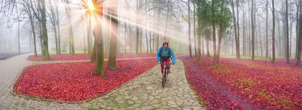 健康的な自転車早朝スケート公園の都市の東ヨーロッパ イヴァーノ フランキーウシク ウクライナの冷たい霧と雪と雨が降る秋の森の背景 — ストック写真