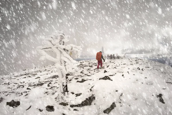月に吹雪の中 Chernogora ウクライナの冬の前に 寒さで秋のトレッキング 寒さと降雪は 観光客にとって危険な秋の山 — ストック写真