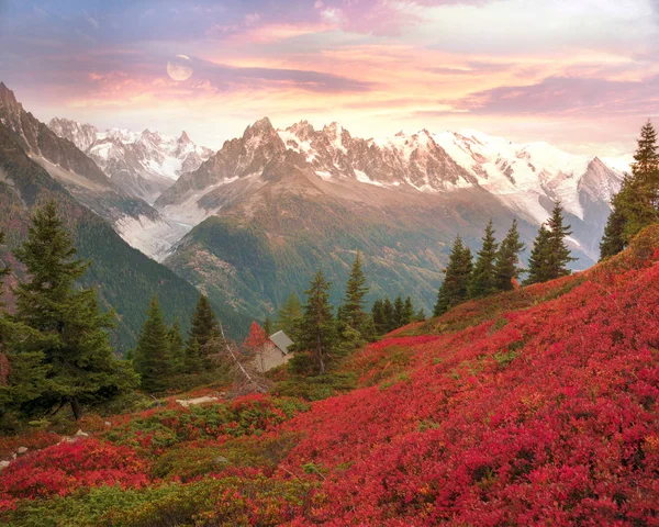 モンブラン シャモニー秋 最初がアルプスの急峻な山々 を背景に霜後ハイランド ベリーの茂みの美しい牧草地は素晴らしく美しい します — ストック写真