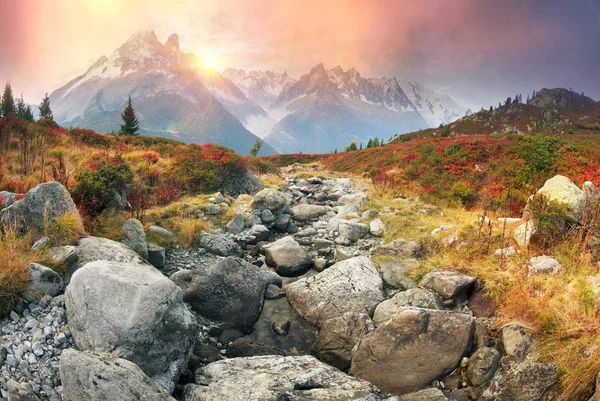 Mont Blanc Chamonix Otoño Pintorescos Prados Arbustos Bayas Las Tierras —  Fotos de Stock