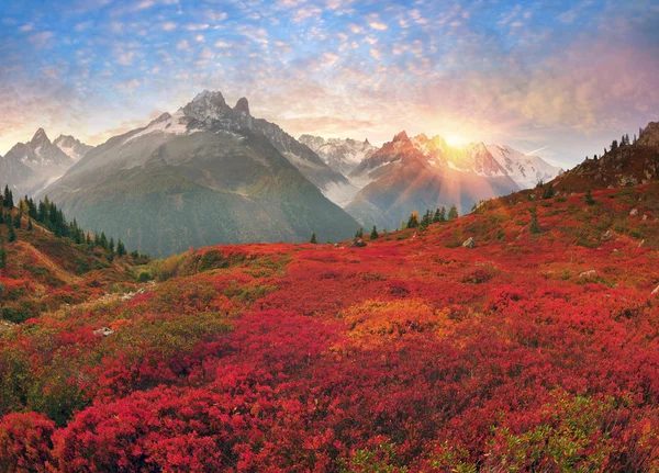 Monte Bianco Chamonix Autunno Pittoreschi Prati Arbusti Bacche Altopiano Sono — Foto Stock
