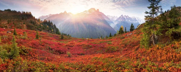 Mont Blanc Chamonix Jesień Malowniczych Łąk Highland Krzewy Fantastycznie Piękne — Zdjęcie stockowe