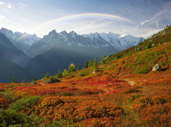 モンブラン シャモニー秋 最初がアルプスの急峻な山々 を背景に霜後ハイランド ベリーの茂みの美しい牧草地は素晴らしく美しい します — ストック写真