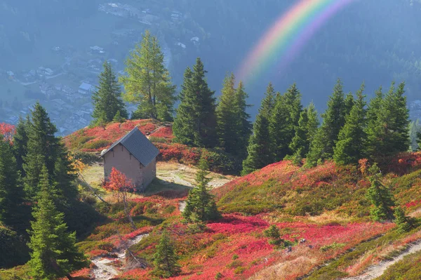 Mont Blanc Chamonix Otoño Pintorescos Prados Arbustos Bayas Las Tierras —  Fotos de Stock