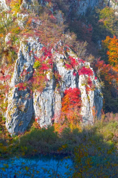 Cascadas Plitvice Croacia Uno Los Lugares Famosos Europa Muy Hermoso —  Fotos de Stock