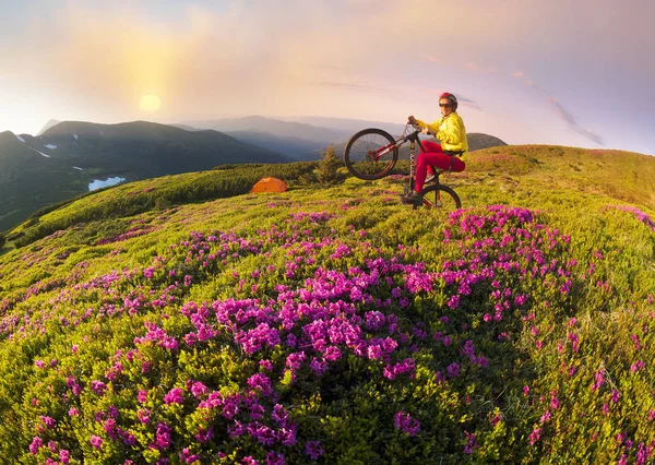 Viaje Primavera Los Cárpatos Entre Flores Alpinas Con Una Bicicleta — Foto de Stock