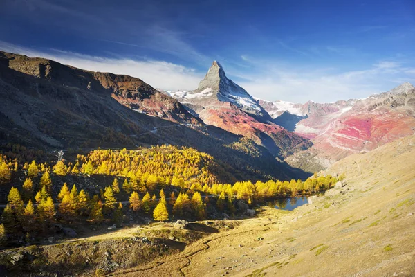 Hösten Skidbackar Den Zarmatt Ett Lokalt Landmärke Och Ljusa Vackra — Stockfoto