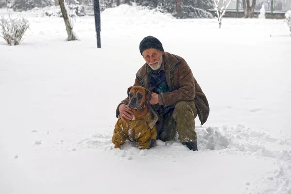 Después Una Fuerte Nevada Fabulosa Belleza Del Parque Invierno Mañana —  Fotos de Stock