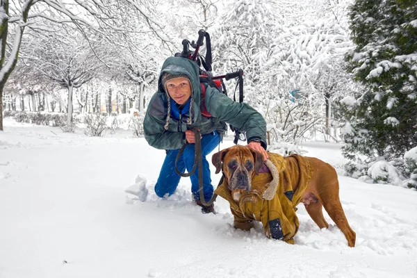 Después Una Fuerte Nevada Fabulosa Belleza Del Parque Invierno Mañana —  Fotos de Stock