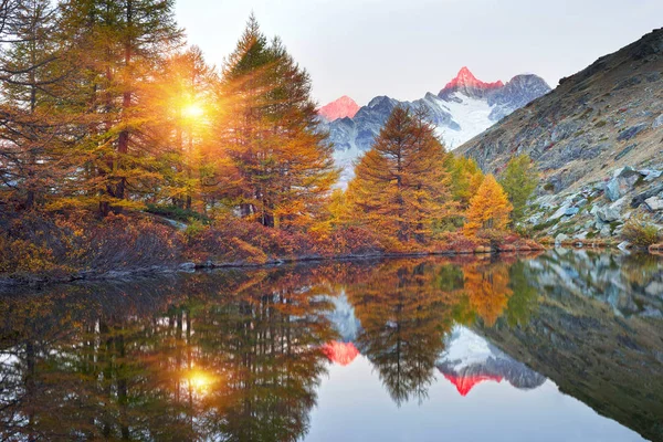 秋天在马特霍恩的背景下 秋天在阿尔卑斯山 山湖清澈的水 Grindjisee 是当地的地标 也是一道明亮美丽的风景 — 图库照片