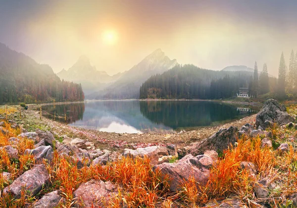 Nad jeziorem Obersee jesienny poranek — Zdjęcie stockowe