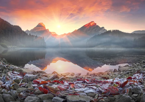 Nad jeziorem Obersee jesienny poranek — Zdjęcie stockowe