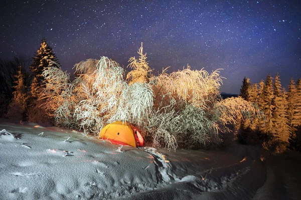 Svår Frost Bergen Frost Och Grenarna Och Vackra Art Ljus — Stockfoto