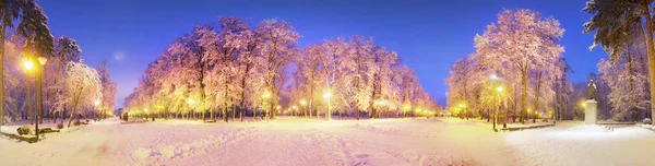 ヨーロッパでは 冬の古い公園の朝のすばらしい美しさ後美しいホワイト オークの間でウクライナ木の経路とランタンに照らされた道路 — ストック写真