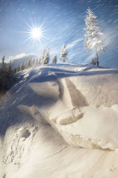 Inverno Primavera Nas Montanhas Turistas Alpinistas Caçadores Silvicultores Encontram Perigo — Fotografia de Stock