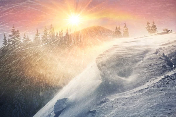 Winter Het Voorjaar Bergen Toeristen Klimmers Tegenkomen Jagers Boswachters Een — Stockfoto