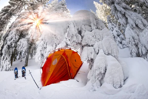 Inverno Depois Tempestades Furacões Nos Cárpatos Alpes Fabulosamente Bonito Nas — Fotografia de Stock