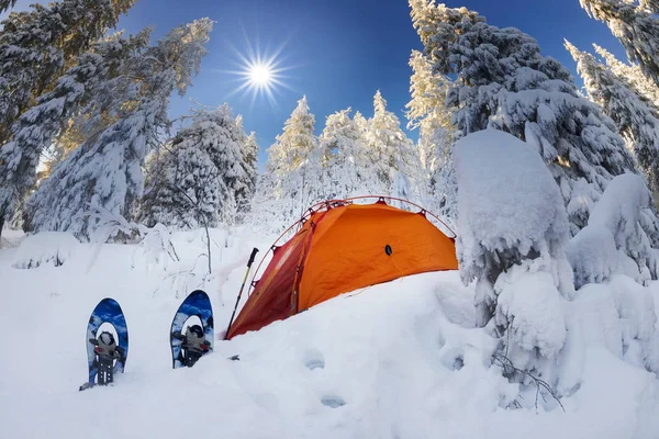 Invierno Después Tormentas Huracanes Los Cárpatos Alpes Fabulosamente Hermoso Las —  Fotos de Stock