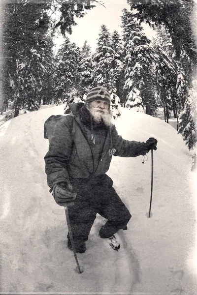 Winter Lebt Den Karpaten Ein Interessanter Ursprünglicher Reisender Ein Sehr — Stockfoto