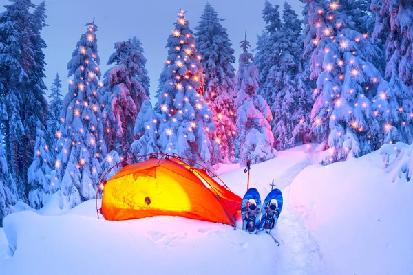 Journey Winter Alpine Forests Wild Mountains Ukraine Photographic Artist Climber — Stock Photo, Image