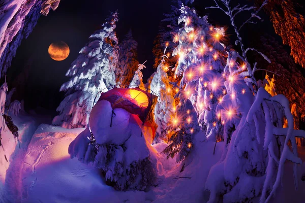 Cesta Přes Zimní Alpské Lesy Divokých Horách Ukrajiny Fotografické Umělec — Stock fotografie