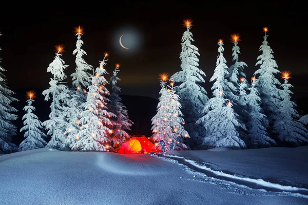 Reise Durch Die Winterlichen Alpinen Wälder Den Wilden Bergen Des — Stockfoto