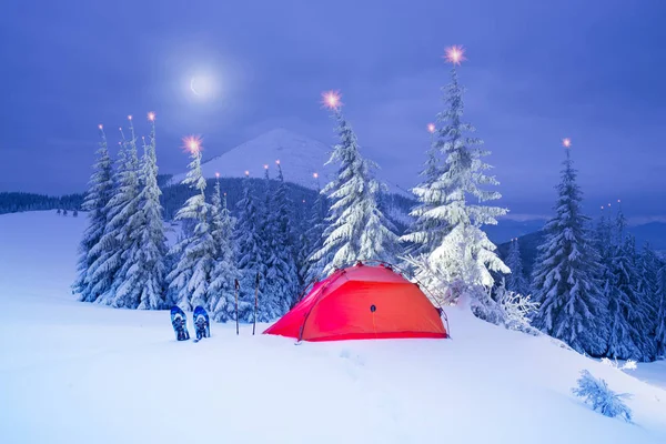 Reise Durch Die Winterlichen Alpinen Wälder Den Wilden Bergen Des — Stockfoto