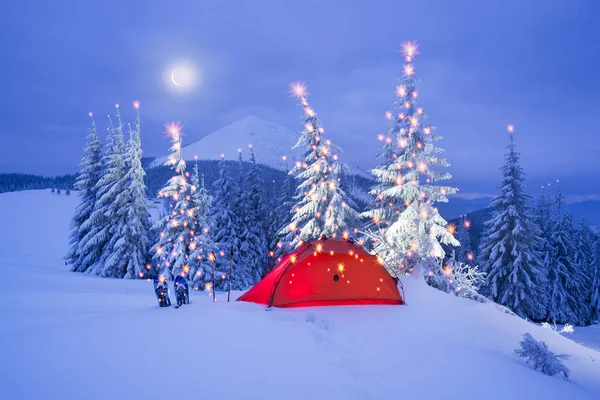 Journey Winter Alpine Forests Wild Mountains Ukraine Photographic Artist Climber — Stock Photo, Image