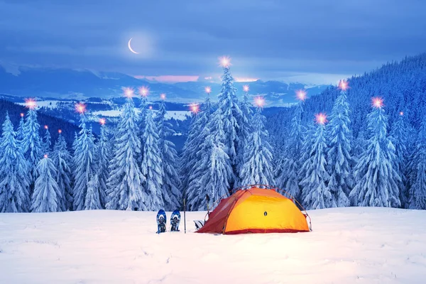 Resa Genom Vintern Alpina Skogar Vilda Bergen Ukraina Fotografisk Konstnär — Stockfoto