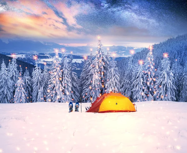 Viaje Través Los Bosques Alpinos Invierno Las Montañas Salvajes Ucrania — Foto de Stock