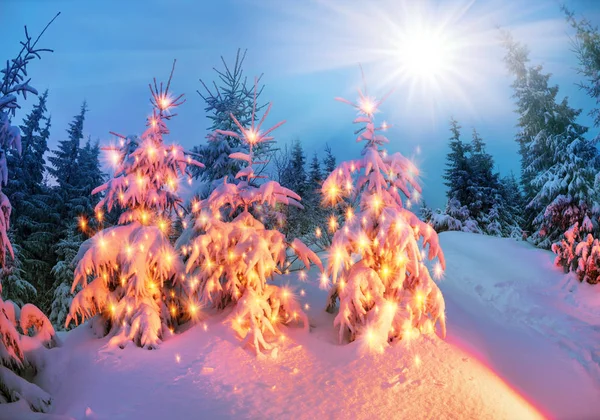 乌克兰喀尔巴阡强暴风雪覆盖着山脉的糖壳 像结霜 温柔的光芒发光的日出景观装饰用的荒野图片 — 图库照片
