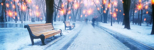 Parque Mariiinsky Tranquilo Sombrío Viejo Tilo Arces Castaños Parque Monumento —  Fotos de Stock