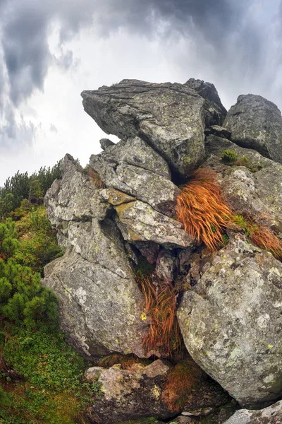 Dans Les Massifs Rocheux Des Sommets Alpins Petites Grottes Qui — Photo