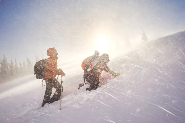 在强烈的寒风和降雪中 一群年轻的登山者在乌克兰喀尔巴鄂的荷马山进行了运动训练 — 图库照片