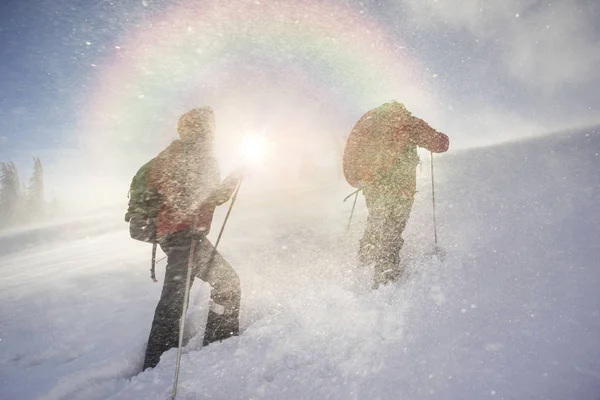 冷ややかな強風と降雪は 若い登山者のグループは スポーツを背景に野生の森林 ウクライナのカルパチア山脈の Homyak 山にトレーニング — ストック写真