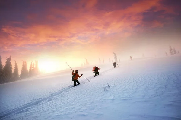 Dans Fort Vent Glacial Des Chutes Neige Groupe Jeunes Alpinistes — Photo