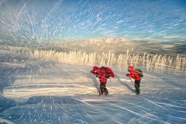 Сильный Морозный Ветер Снегопад Группа Молодых Альпинистов Проводит Спортивную Тренировку — стоковое фото