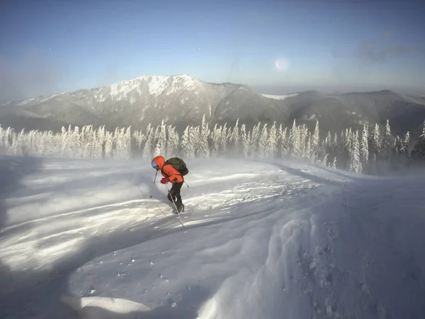 冷ややかな強風と降雪は 若い登山者のグループは スポーツを背景に野生の森林 ウクライナのカルパチア山脈の Homyak 山にトレーニング — ストック写真