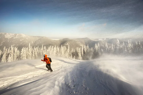 Сильний Вітер Морозна Снігопад Група Молодих Альпіністів Робить Спортивні Тренування — стокове фото