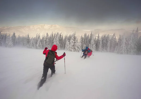 Forte Vento Gelado Nevasca Grupo Jovens Alpinistas Faz Treinamento Esportivo — Fotografia de Stock