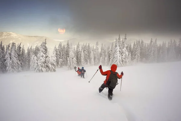 Forte Vento Gelado Nevasca Grupo Jovens Alpinistas Faz Treinamento Esportivo — Fotografia de Stock