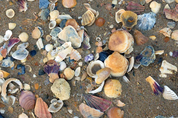 Sulla Spiaggia Lagos Portogallo Sabbia Mescolata Con Una Varietà Bellissime — Foto Stock