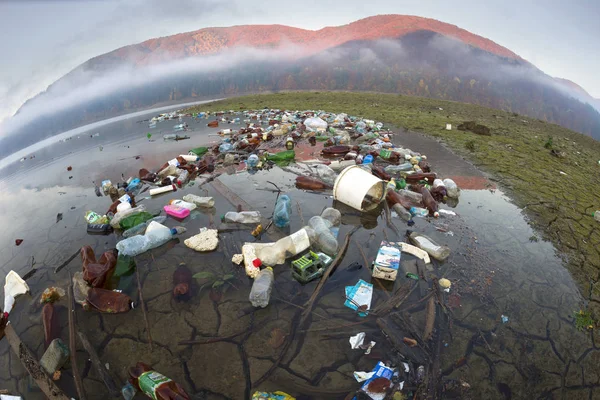 Plastik çöp kutusu - insan düşük kültür — Stok fotoğraf