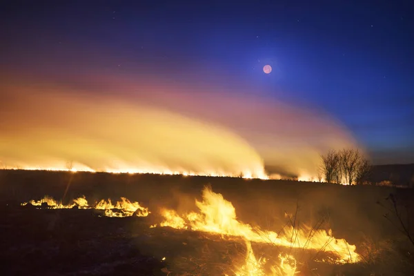 Grama queimando no campo — Fotografia de Stock