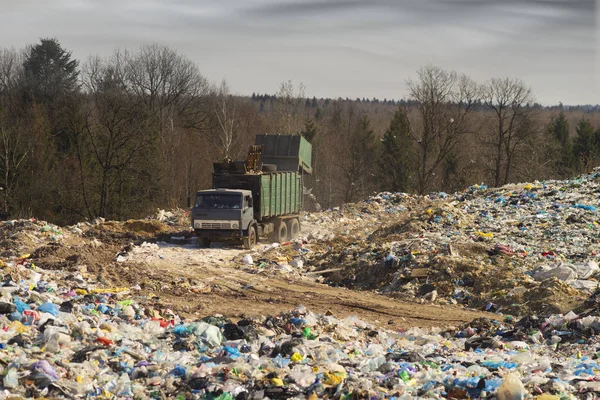 Enorma skaft av tsunamin skräp attacker skogen — Stockfoto