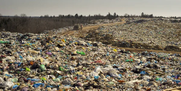 Büyük mili tsunami enkaz ormanın saldırıları — Stok fotoğraf