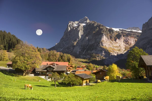 Tradicionais casas alpinas — Fotografia de Stock